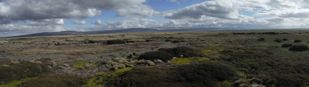 A Patagonian vista