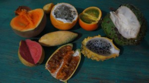 Exotic fruit taste test